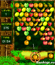 Flash ���� ��������� �������  (Fruit Blaster) �������� 3