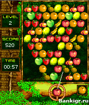 Flash ���� ��������� �������  (Fruit Blaster) �������� 4