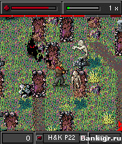 Flash ���� Death Zone �������� 2