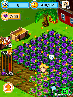 Flash    (Green Farm)  2