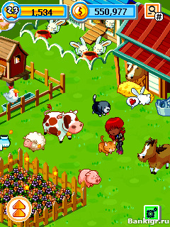 Flash    (Green Farm)  3