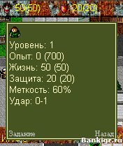 Flash ���� Zone RPG Russian �������� 3