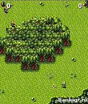 Flash ���� Cannon Fodder �������� 2