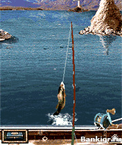 Flash  Bass Fishing Mania 3 (   3 )  3