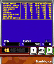 Flash ���� 365 Casino 11-in-1 ( 365 ������ 11 � 1 ) �������� 2