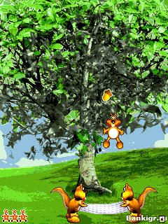 Flash ���� ������� �� �������� (Acorn Hunt) �������� 3