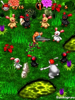 Flash ���� ������� �� ������������� (Zombie Rabbit Hunter) �������� 3