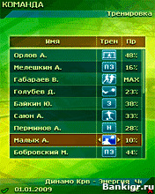 Flash ���� Football Manager 2009 Russia Ukraine Europa �������� 2