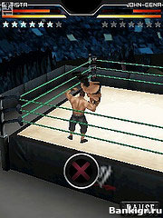 Flash  WWE SmackDown vs. RAW 2010  3