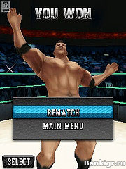 Flash  WWE SmackDown vs. RAW 2010  4