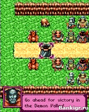 Flash ���� Fantasy Battle Revenge �������� 2