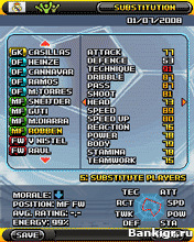 Flash ���� Real Footbal Manager Edition 2009 ( �������� ���������� �������� �������� 2009 ) �������� 2