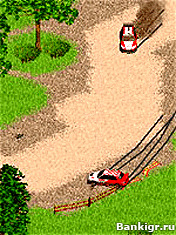 Flash ���� Dare Rally �������� 2