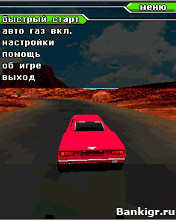 Flash ���� 3D Racing Evolution ( �������� ����� 3D ) �������� 2