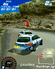 Flash ���� Rally Stars 3D ( ����� ����� 3D ) �������� 2