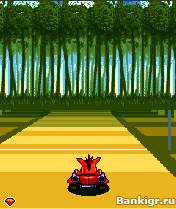 Flash ���� Crash Nitro Kart 2 �������� 2