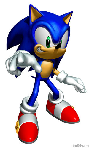 Flash ���� Sonic hopping �������� 2