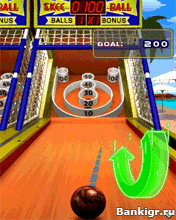 Flash ���� SkeeBall ( ������ ) �������� 2