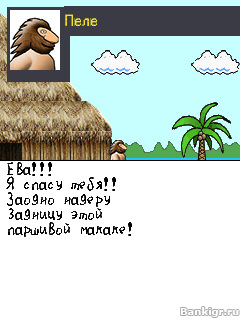 Flash ���� ����� ������� (Wild Man) �������� 2