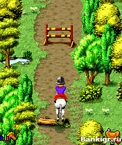 Flash ���� Horse and Pony - My Stud Farm ( ���� � ���� - �������� �� ����� ) �������� 2