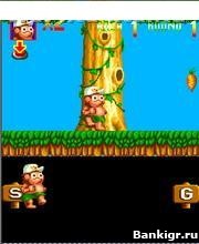 Flash ���� ISLAND �������� 2