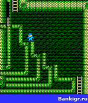 Flash ���� Mega Man 3 ( ���� ��� 3 ) �������� 2