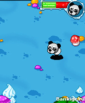 Flash ���� Goosy Pets Panda ( �������� ������� ����� ) �������� 2
