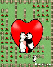 Flash ���� Cuddles Panda Tamagochi ( ����� �������� ) �������� 3
