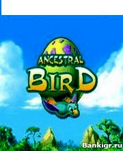 Flash ���� Ancesral bird �������� 2