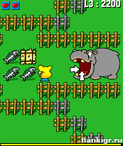 Flash ���� Pixeline Zoo ( PixZoo ) ( ������� �������� ) �������� 2