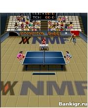 Flash ���� Ping POng �������� 2