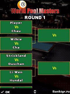 Flash ���� ������� ���������� ��������  (World Pool Masters) �������� 2