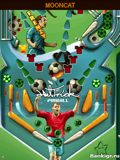 Flash ���� ���-���� ������  (Hat Trick Pinball) �������� 3