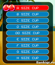 Flash ���� ����������� ��������  (Holly Hooters Volleyball Cup) �������� 2