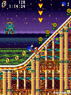 Flash  :   (Sonic Advance)  3