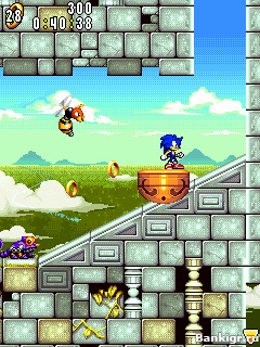 Flash  :   (Sonic Advance)  4