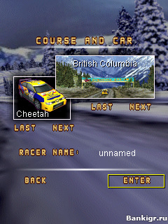 Flash ���� ������� ����� � ������  (Snow Rally Canada 3D) �������� 2