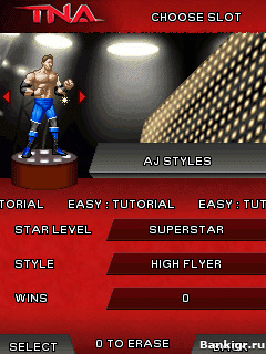 Flash ���� ��������  (TNA iMPACT) �������� 3