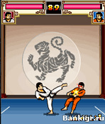 Flash ���� ����: ���� �����  (WUSHU - Way Of The Warrior) �������� 3