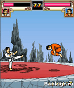 Flash ���� ����: ���� �����  (WUSHU - Way Of The Warrior) �������� 4