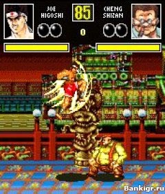 Flash ���� Fatal Fury Mobile �������� 2