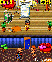 Java Porno