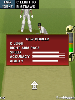 Flash ���� ������ 2011  (EA Cricket 2011) �������� 2