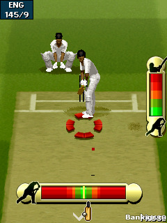 Flash ���� ������ 2011  (EA Cricket 2011) �������� 3