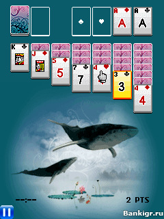 Flash ���� ������� 8 � 1 2011  (Solitaire 8 in 1 2011) �������� 3