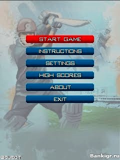 Flash  Twenty World Cricket 2010  2