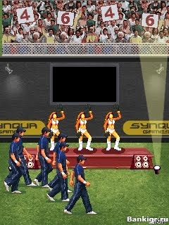 Flash  Twenty World Cricket 2010  3