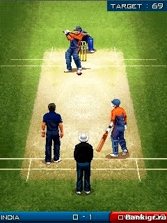 Flash  Twenty World Cricket 2010  4