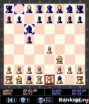 Flash ���� Chessmaster �������� 3