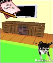 Flash     3 (My Little Dogs 3D)  2